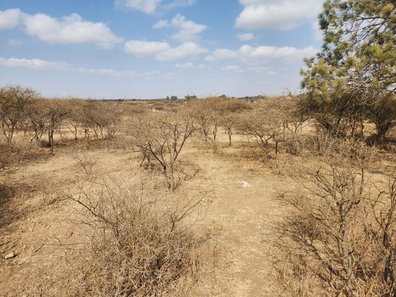 10 Hectares of Prime Land in Doornbult – Your Dream Opportunity Awaits! - Photo 6