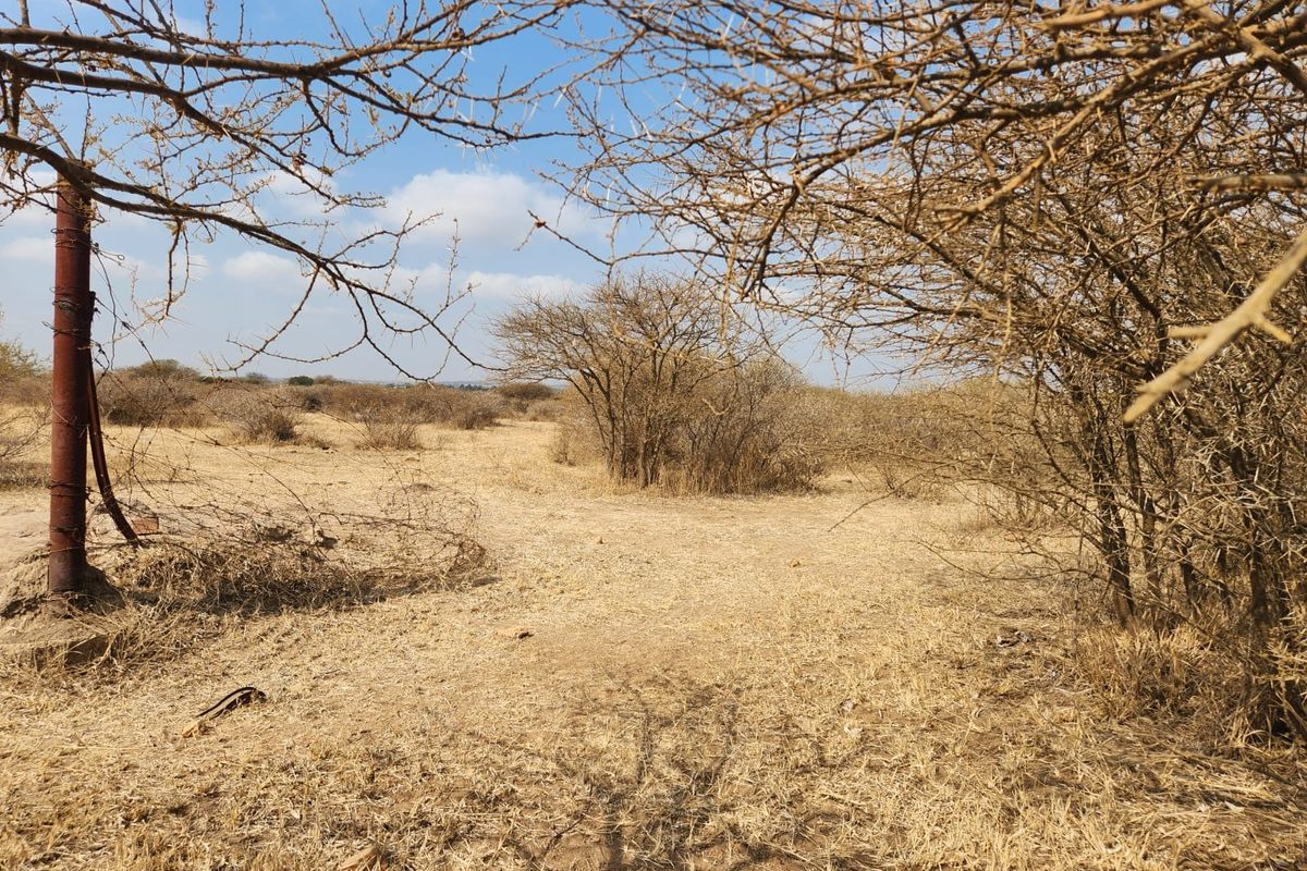 10 Hectares of Prime Land in Doornbult – Your Dream Opportunity Awaits! - Photo 4