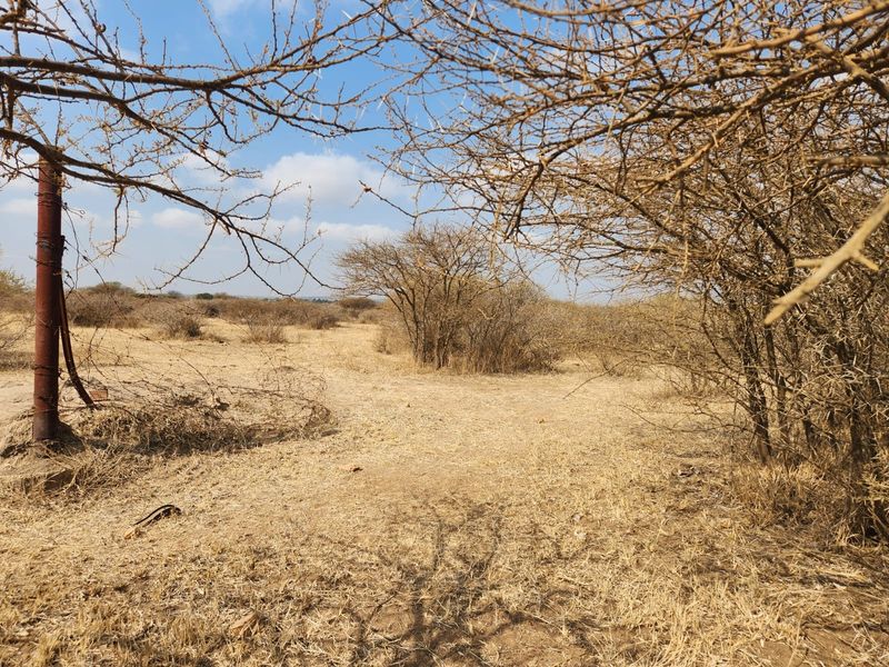 10 Hectares of Prime Land in Doornbult – Your Dream Opportunity Awaits! - Photo 4