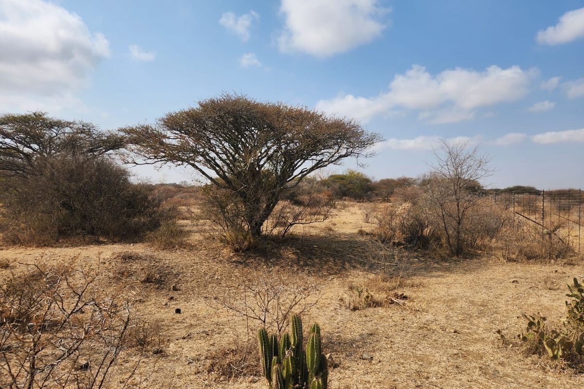 10 Hectares of Prime Land in Doornbult – Your Dream Opportunity Awaits! - Photo 5