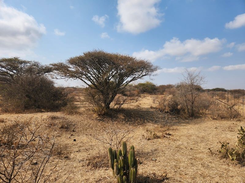 10 Hectares of Prime Land in Doornbult – Your Dream Opportunity Awaits! - Photo 5