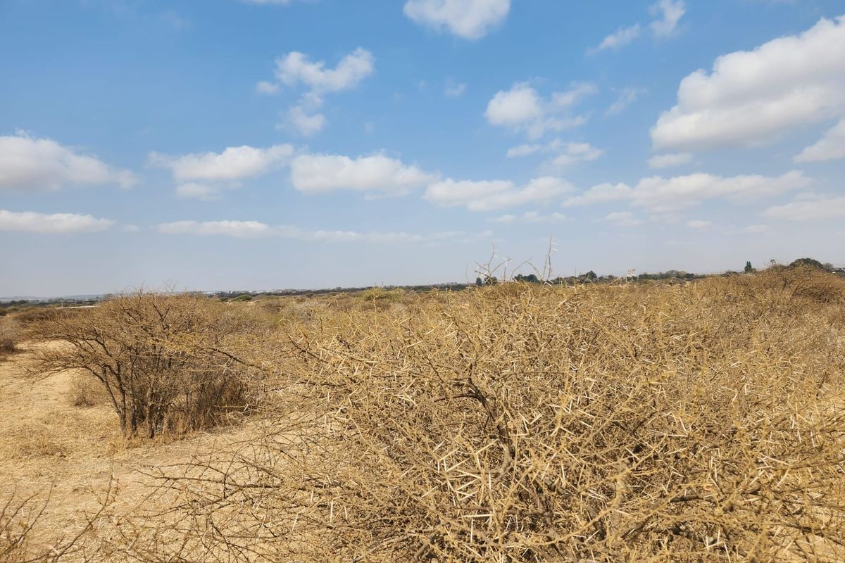 10 Hectares of Prime Land in Doornbult – Your Dream Opportunity Awaits! - Photo 3