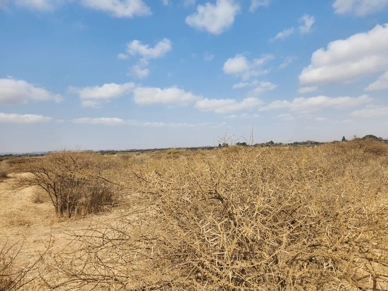 10 Hectares of Prime Land in Doornbult – Your Dream Opportunity Awaits! - Photo 3