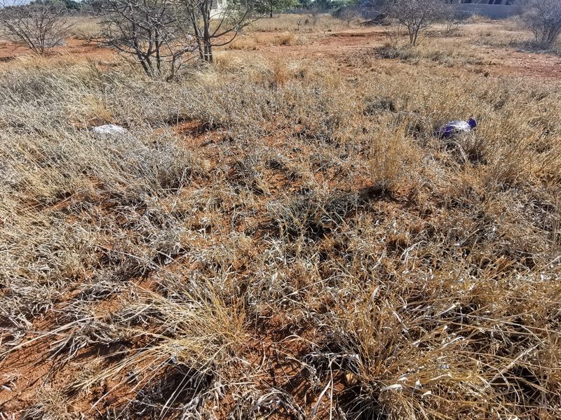 Freestanding Vacant Stand in Bendor - Photo 5