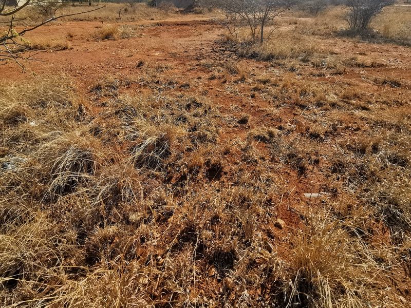 Freestanding Vacant Stand in Bendor - Photo 3