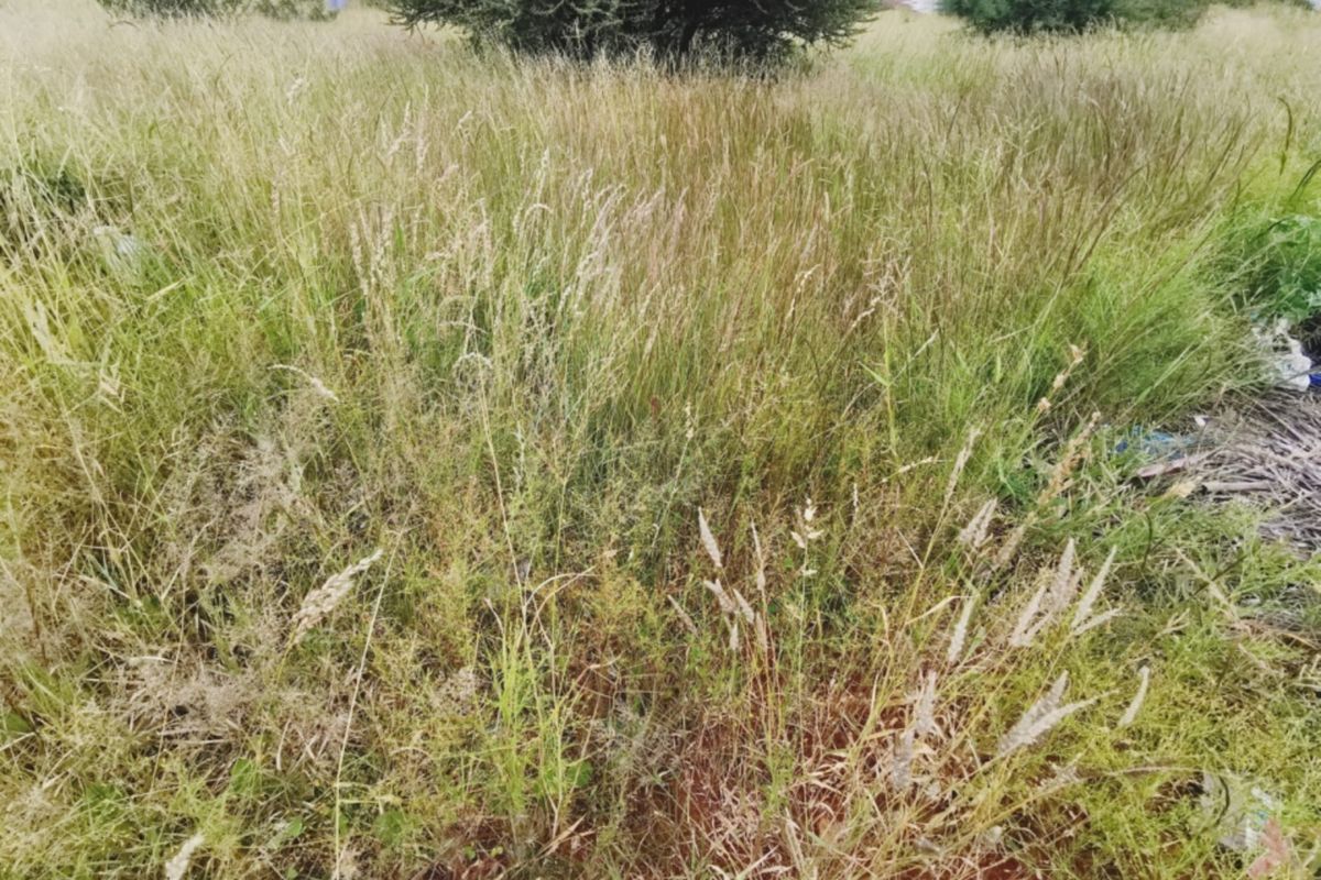 Prime 840sqm Freestanding Stand in Bendor – Build Your Dream Home! - Photo 4