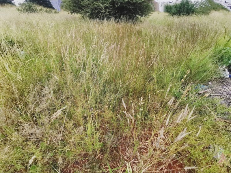 Prime 840sqm Freestanding Stand in Bendor – Build Your Dream Home! - Photo 4