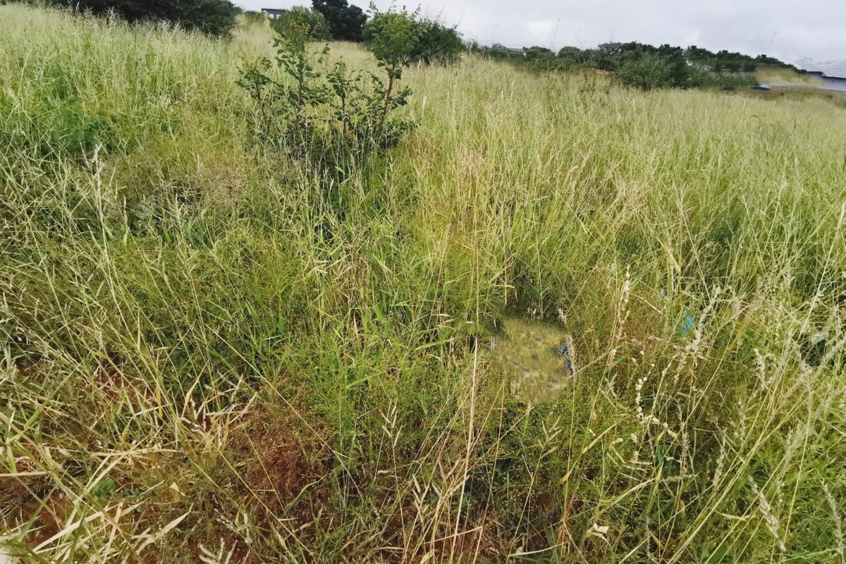 Prime 840sqm Freestanding Stand in Bendor – Build Your Dream Home! - Photo 2