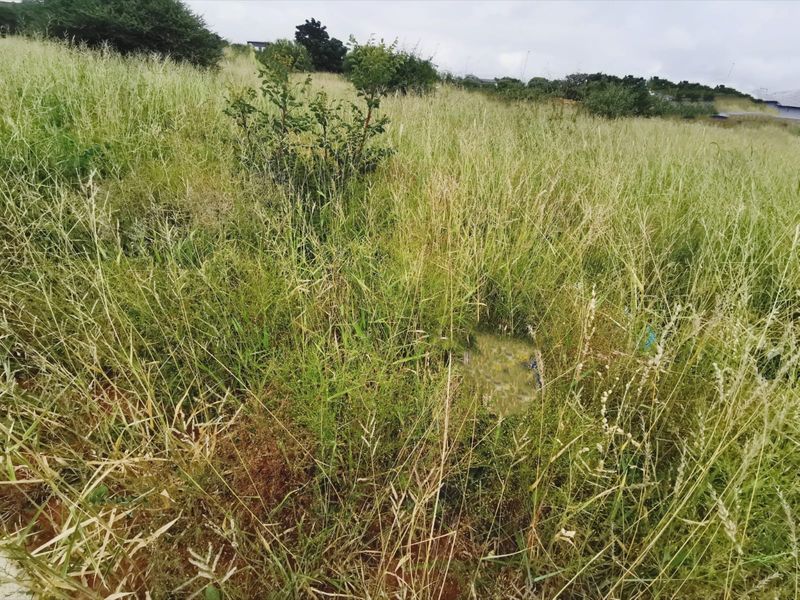 Prime 840sqm Freestanding Stand in Bendor – Build Your Dream Home! - Photo 2