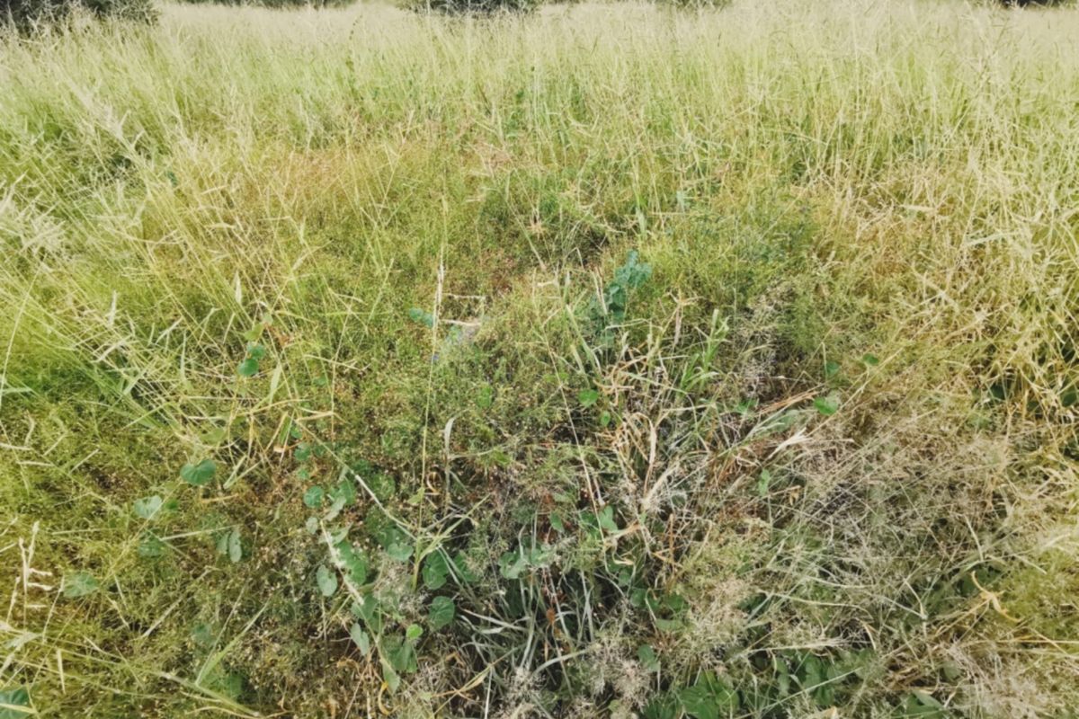 Prime 840sqm Freestanding Stand in Bendor – Build Your Dream Home! - Photo 3