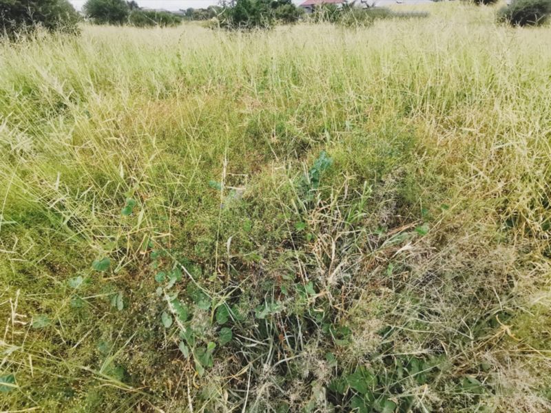 Prime 840sqm Freestanding Stand in Bendor – Build Your Dream Home! - Photo 3