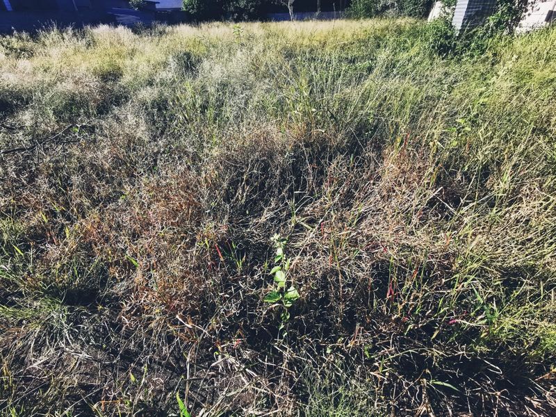 1536sqm Vacant Stand in Old Bendor - Photo 4