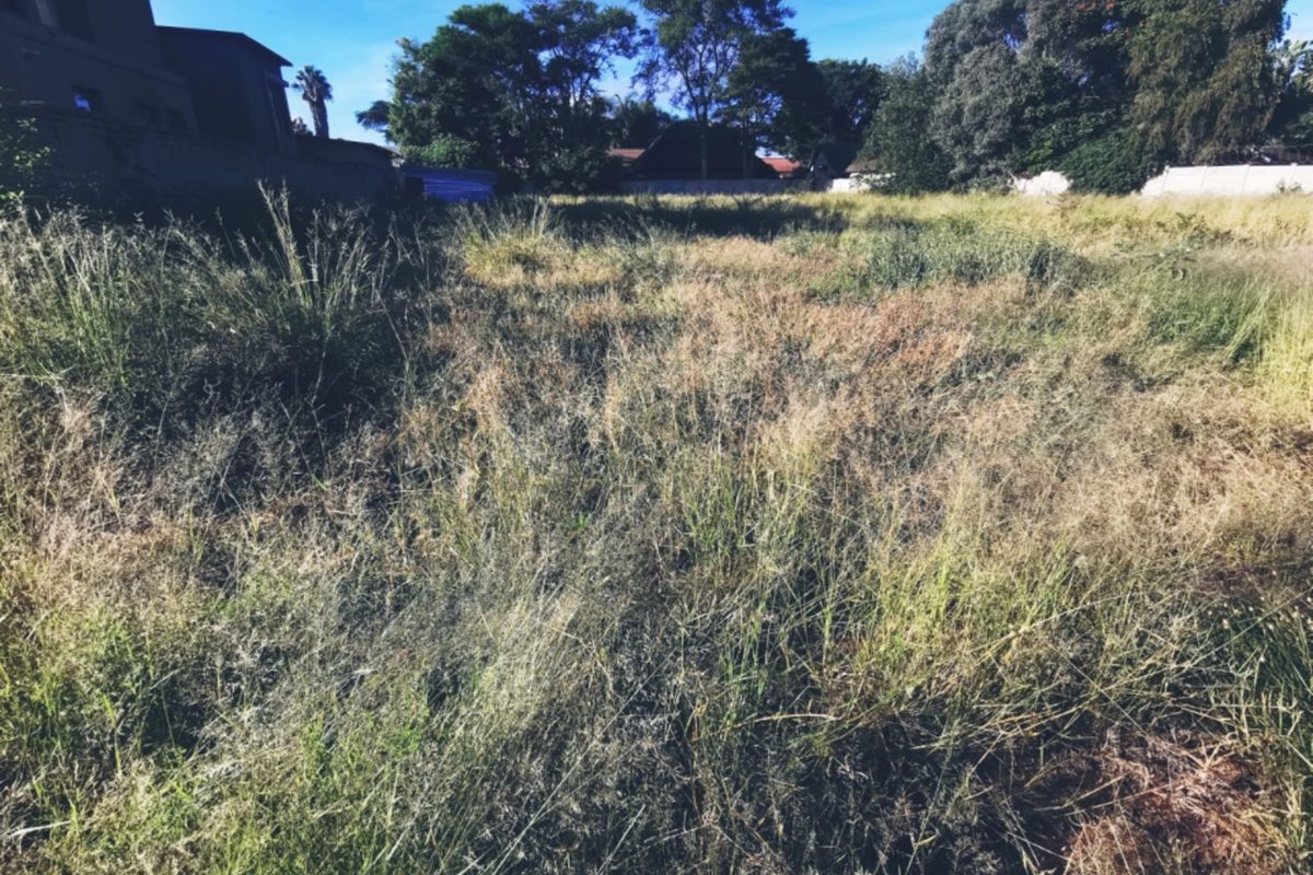 1536sqm Vacant Stand in Old Bendor - Photo 3