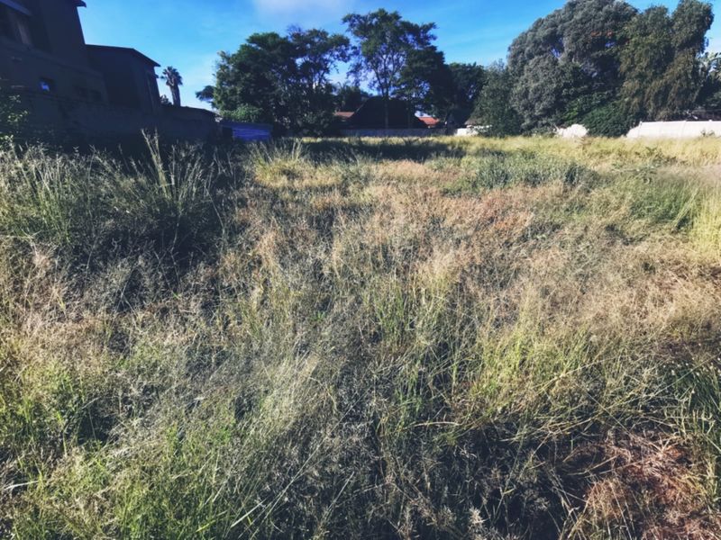 1536sqm Vacant Stand in Old Bendor - Photo 3