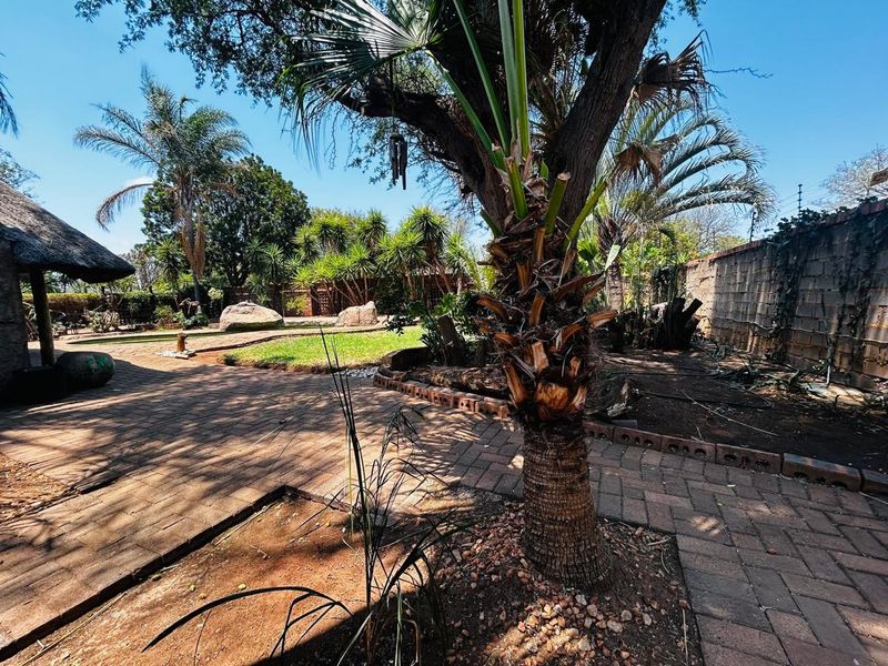 Spacious rear garden featuring paved walkways, mature palm trees, and a thatched outdoor structure, offering potential for landscaping and outdoor living development.