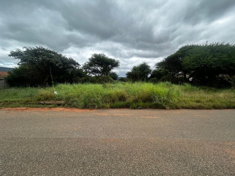A street-level view of a vacant residential plot featuring native grass and mature trees, accessible via an asphalt road.