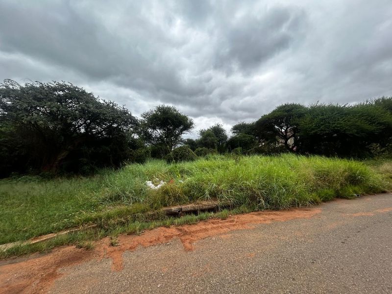 A street-level view of a vacant residential plot featuring overgrown grass, mature trees, and an adjacent asphalt road with a stormwater drain.