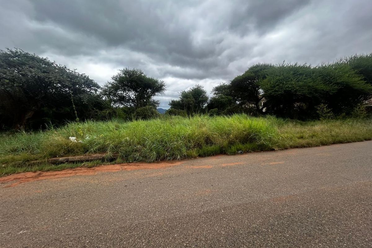 A street-level view of an undeveloped residential plot featuring natural vegetation and mature trees along an asphalt road.