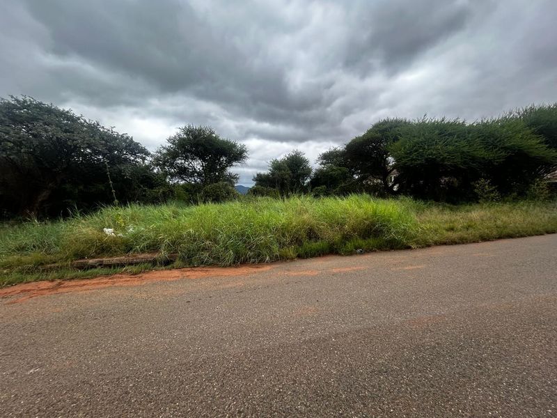 A street-level view of an undeveloped residential plot featuring natural vegetation and mature trees along an asphalt road.