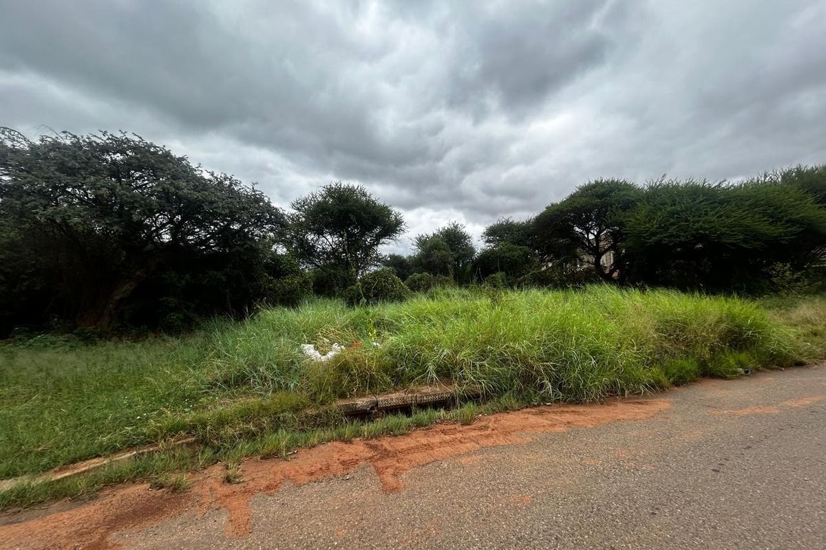 A street-level view of a vacant residential plot featuring overgrown vegetation and a concrete drainage culvert along the asphalt road frontage.