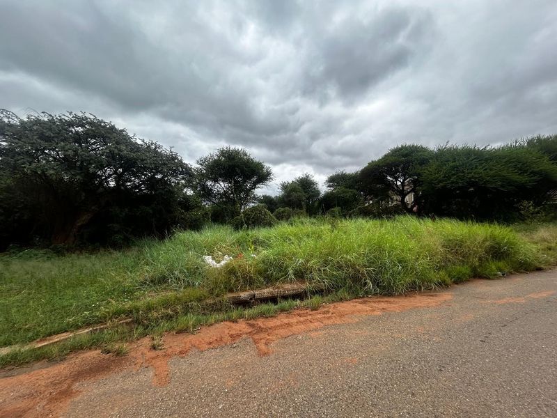 A street-level view of a vacant residential plot featuring overgrown vegetation and a concrete drainage culvert along the asphalt road frontage.