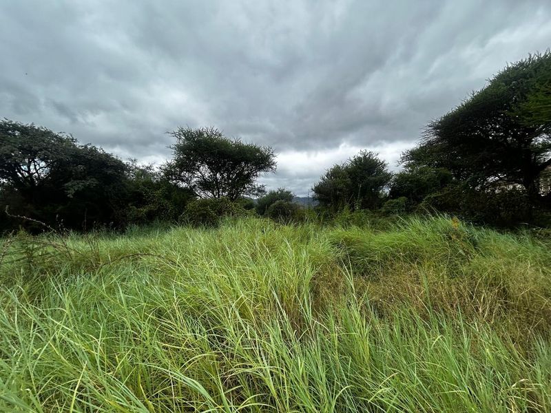A view of a vacant residential plot featuring overgrown grass and mature native trees under a cloudy sky.