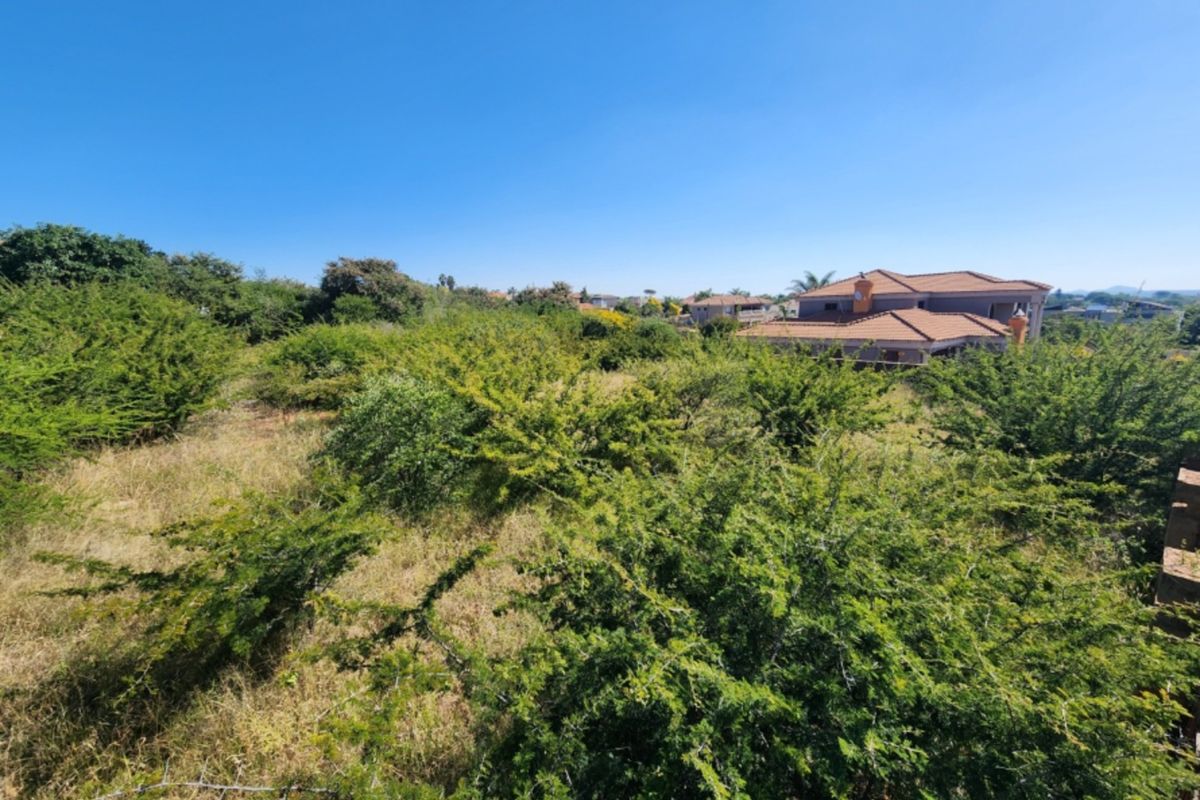 An elevated view of a vacant residential plot featuring dense, overgrown native vegetation and shrubs, with neighboring properties visible in the background.