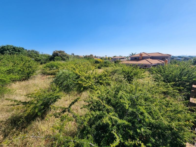 An elevated view of a vacant residential plot featuring dense, overgrown native vegetation and shrubs, with neighboring properties visible in the background.