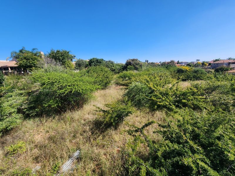 A view of a vacant residential plot featuring established indigenous trees and natural vegetation, offering a private setting for future development.