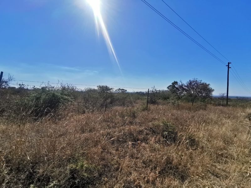 A view of a vacant residential plot featuring natural vegetation, barbed wire fencing, and utility infrastructure under a clear blue sky.