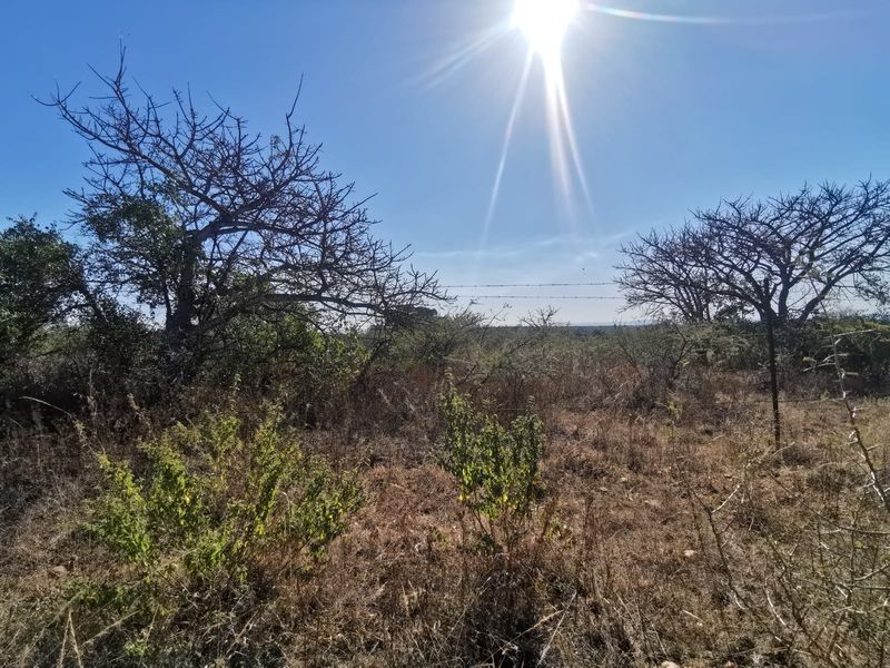 A view of a vacant residential plot featuring natural vegetation and a perimeter barbed wire fence under a clear sky.