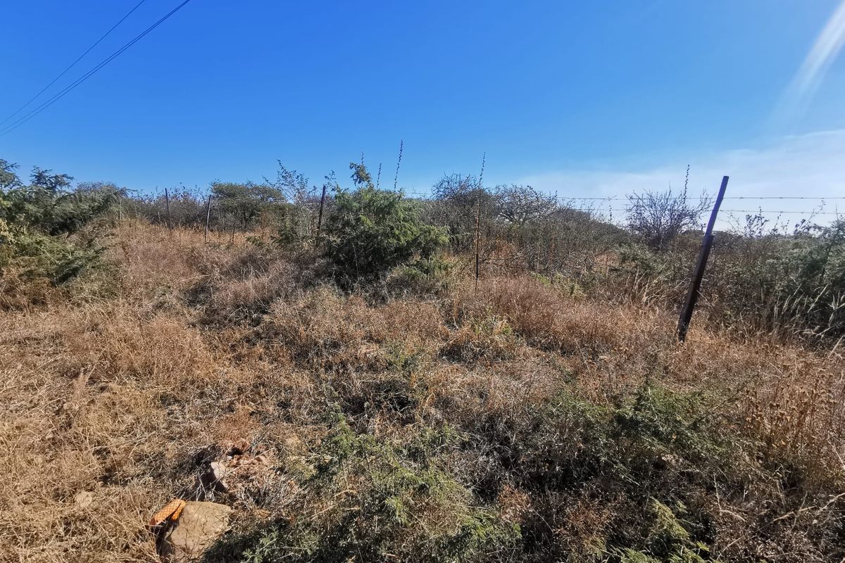A view of a vacant residential plot featuring natural vegetation and existing wire perimeter fencing.