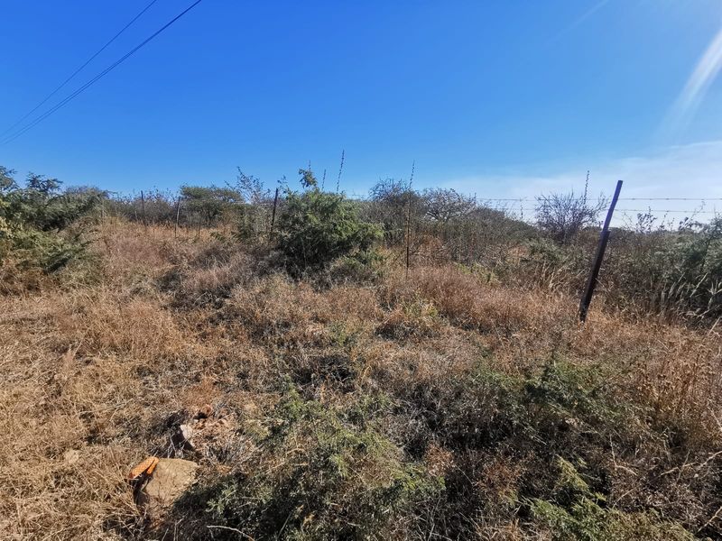 A view of a vacant residential plot featuring natural vegetation and existing wire perimeter fencing.