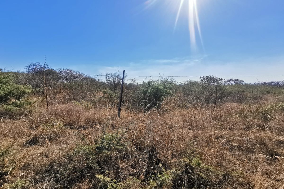 A view of a vacant residential plot featuring dry, overgrown vegetation and existing barbed wire perimeter fencing.