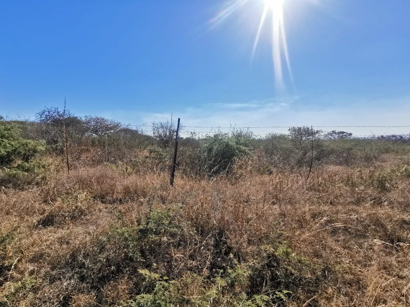 A view of a vacant residential plot featuring dry, overgrown vegetation and existing barbed wire perimeter fencing.