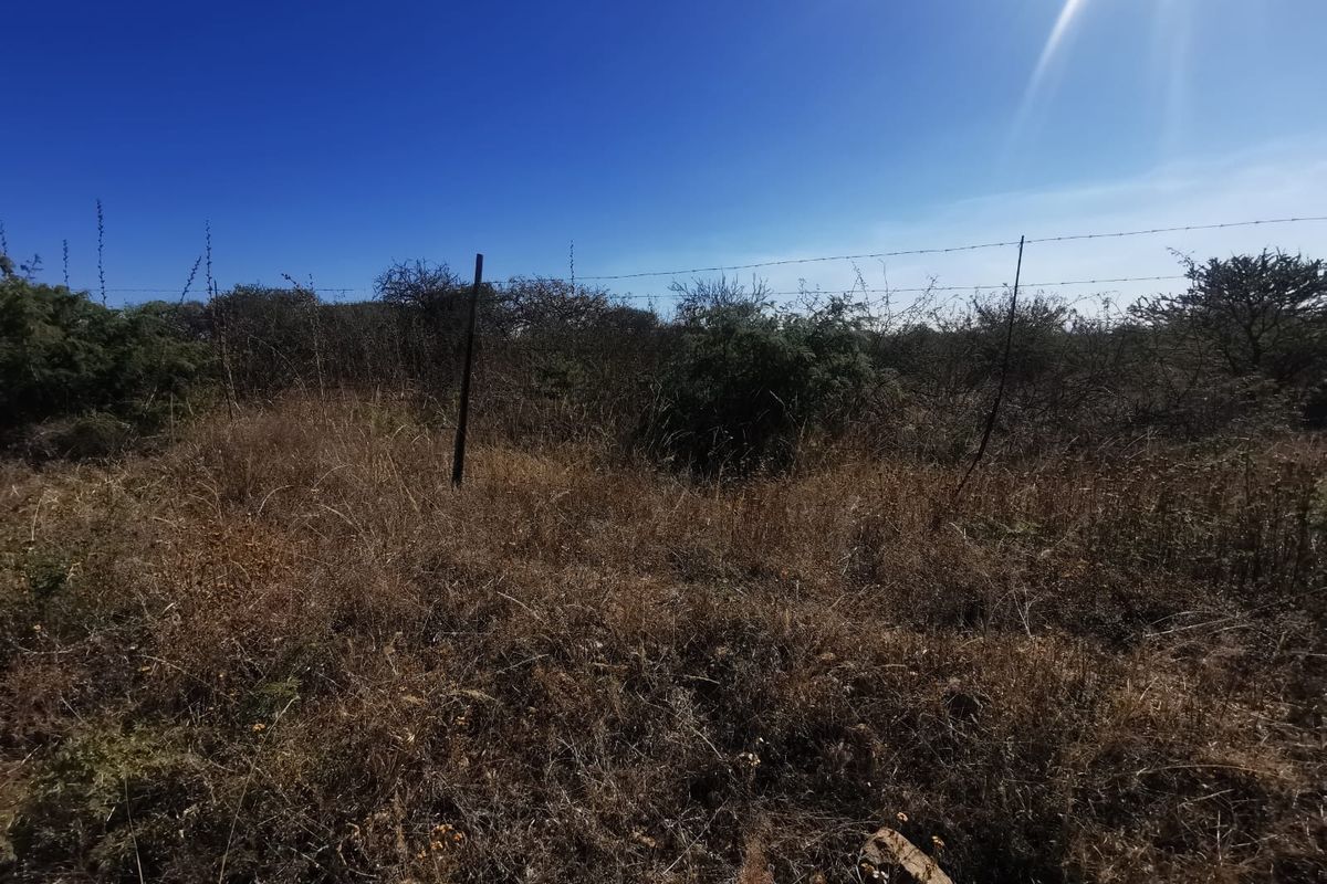 A view of a vacant residential plot featuring dry, overgrown vegetation and existing perimeter barbed wire fencing.