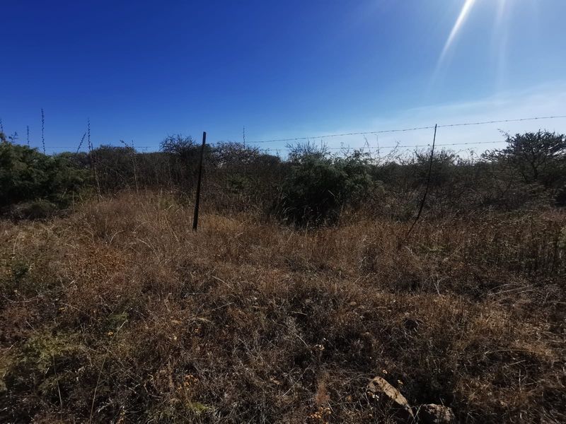 A view of a vacant residential plot featuring dry, overgrown vegetation and existing perimeter barbed wire fencing.
