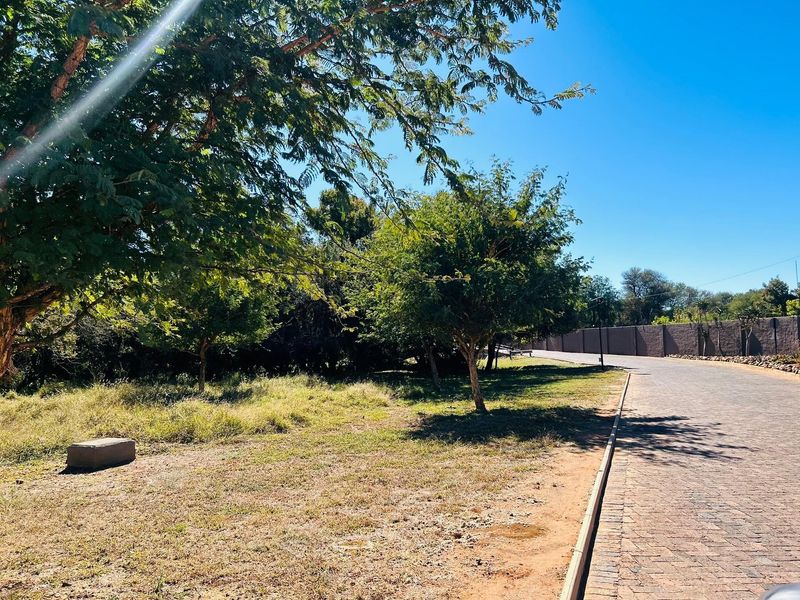 A view of a residential vacant land plot featuring a paved driveway, perimeter walling, and established trees.
