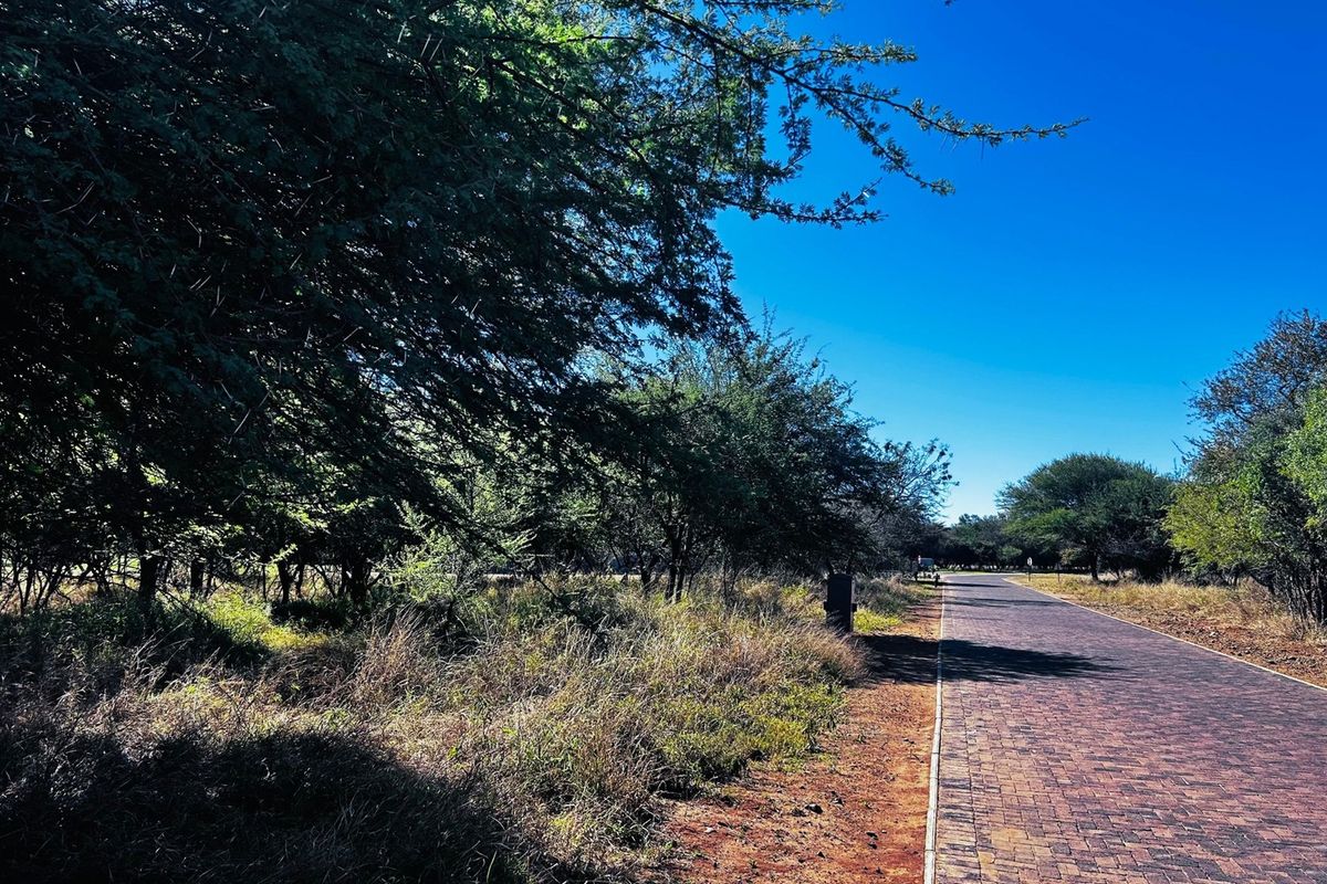 A view of a paved driveway leading through a natural, tree-lined residential plot with established vegetation.