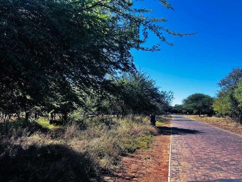 A view of a paved driveway leading through a natural, tree-lined residential plot with established vegetation.