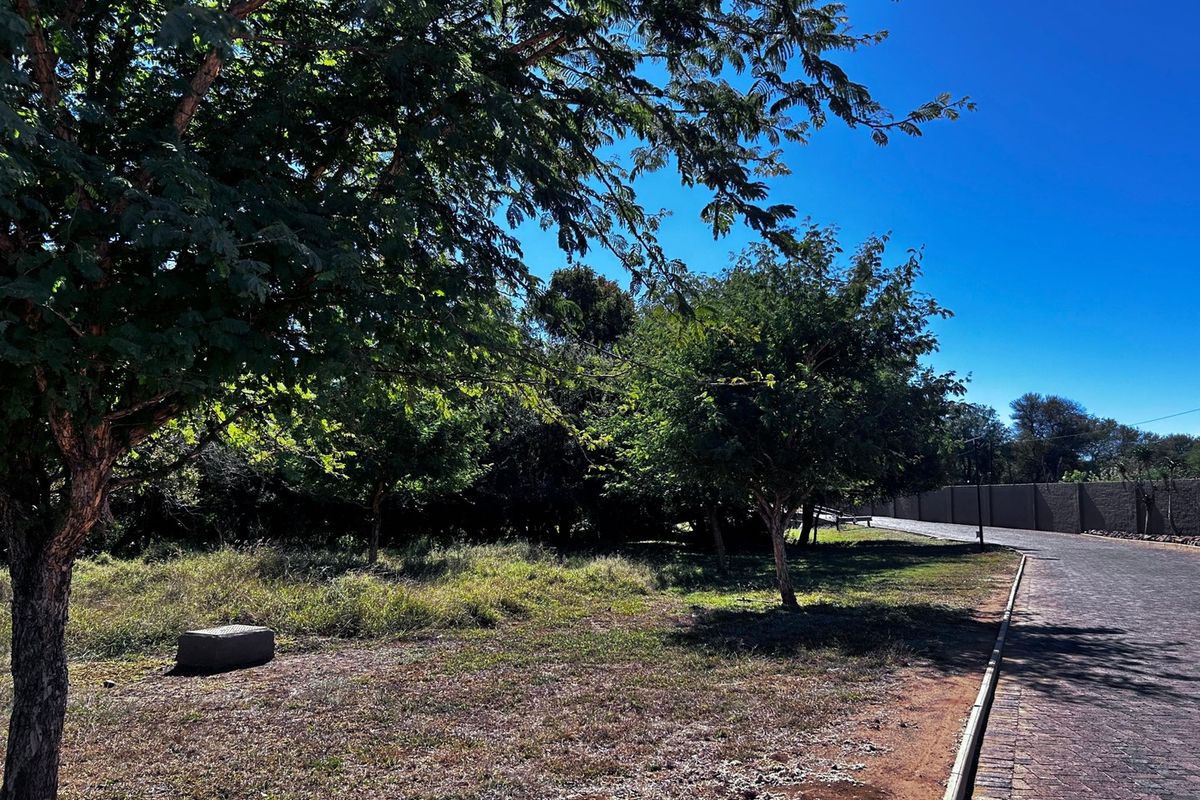 A view of a vacant residential plot featuring mature trees, a paved driveway, and a perimeter boundary wall.