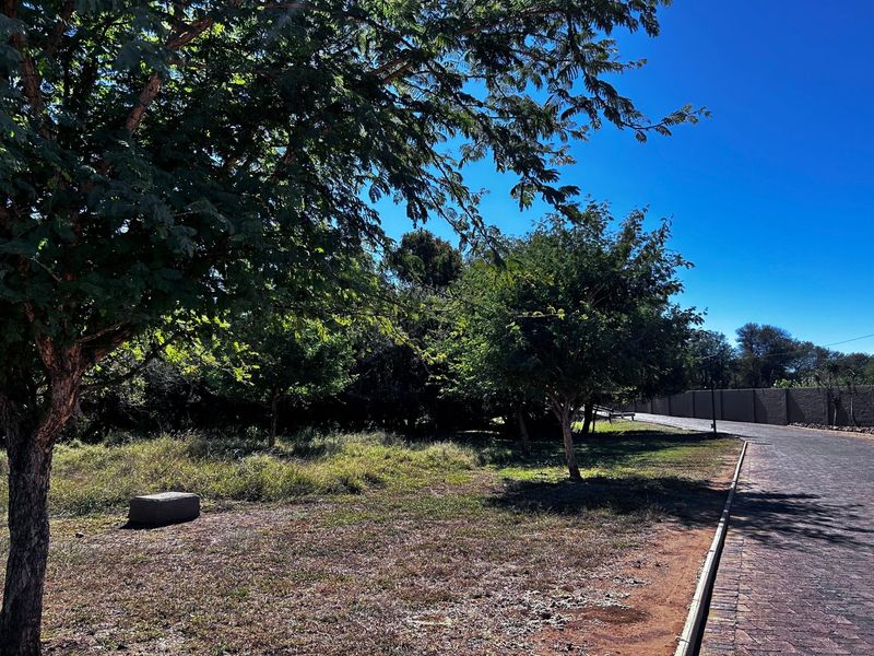 A view of a vacant residential plot featuring mature trees, a paved driveway, and a perimeter boundary wall.