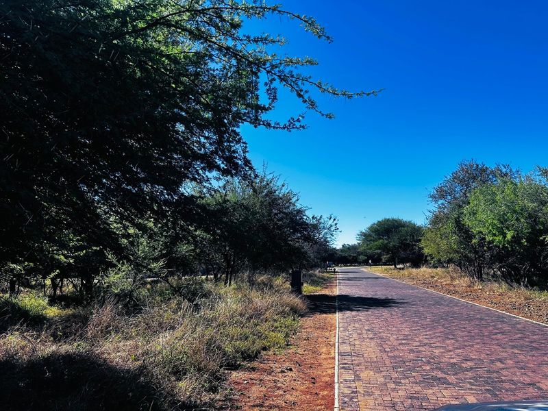 A view of a paved driveway leading through a natural, tree-lined residential landscape.