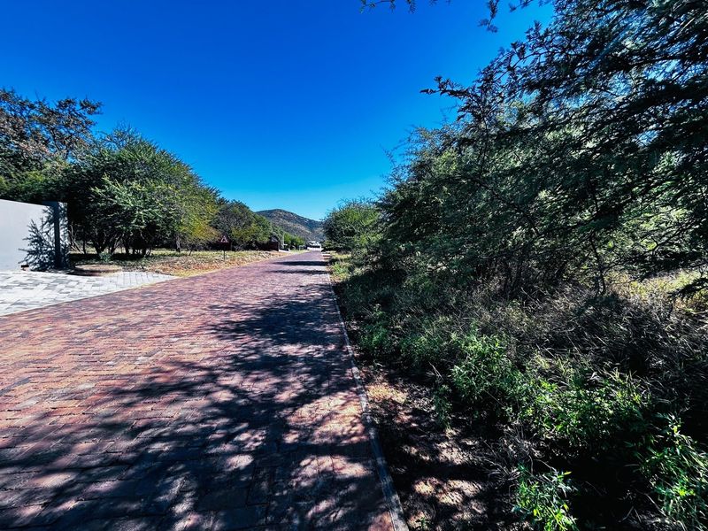A view of a well-maintained brick paved road leading through a scenic, tree-lined residential area.