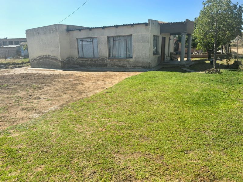 Front view of a single-story residential property featuring a covered porch, concrete columns, and a large yard area requiring exterior maintenance.