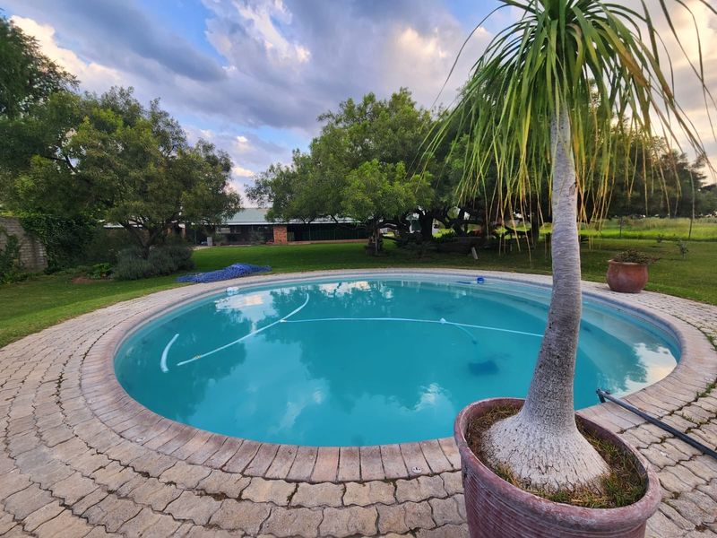 A well-maintained circular swimming pool set within a spacious garden, featuring brick paving and mature trees in a peaceful outdoor setting.