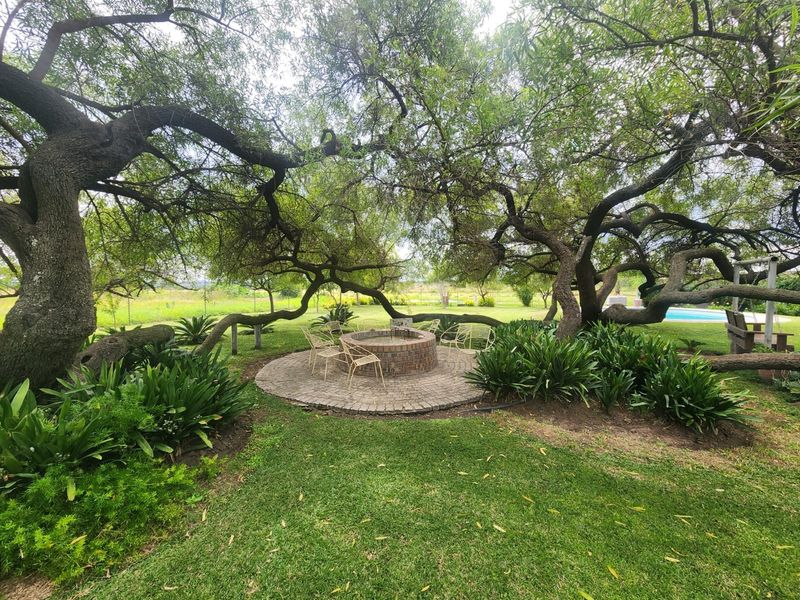 A tranquil garden area featuring a circular brick fire pit set within a paved patio, surrounded by mature trees and lush landscaping.