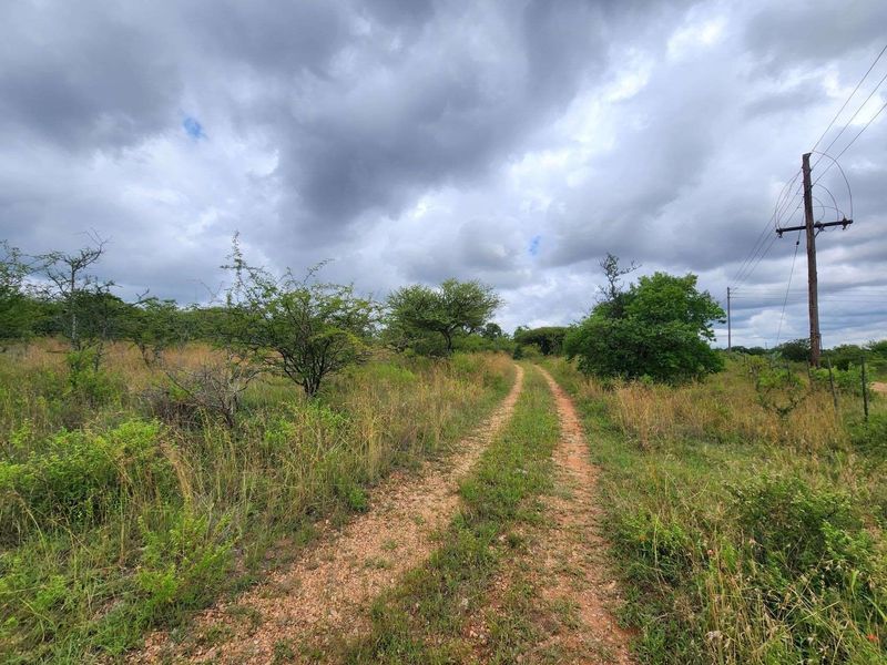 A view of a natural small holding landscape featuring a dirt access track, indigenous vegetation, and utility infrastructure.