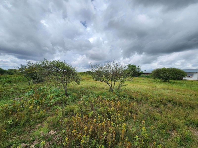 A view of the expansive open land and natural vegetation on the small holding property.