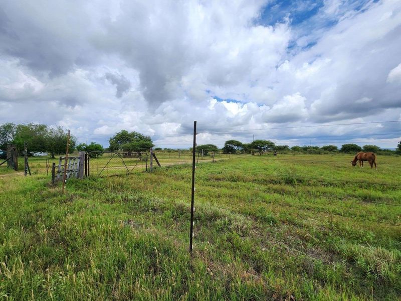 Expansive open grazing land featuring wire perimeter fencing and a metal farm gate entrance.